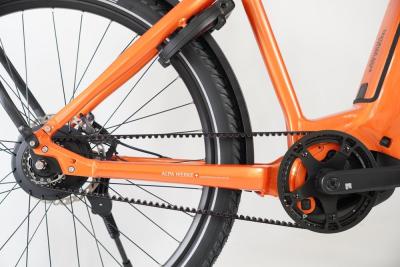 eViva GT Jubil&auml;umsmodell &bdquo;20 Jahre Velothek&ldquo; Produktbild 1