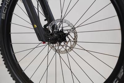 Bergamont E-Revox Sport 10 Produktbild 2