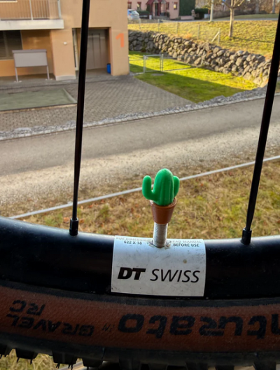 Kaktus Ventilkappe | 3D-gedruckt Presta Produktbild 1