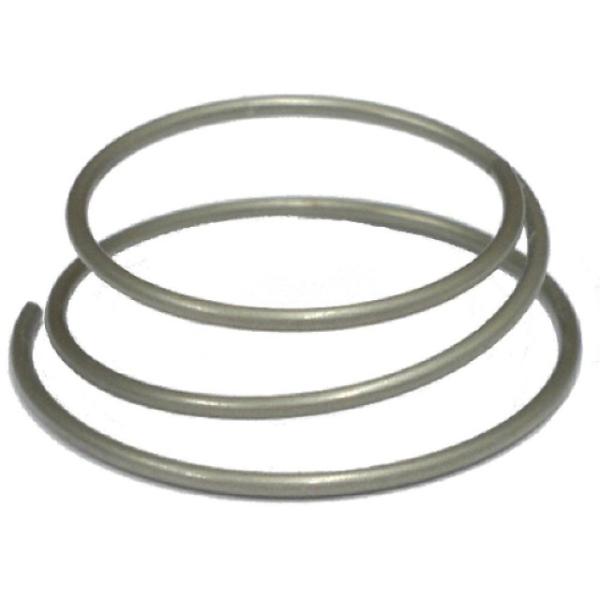 DT Swiss Feder f&uuml;r Zahnscheibe 180/240/350  Silber