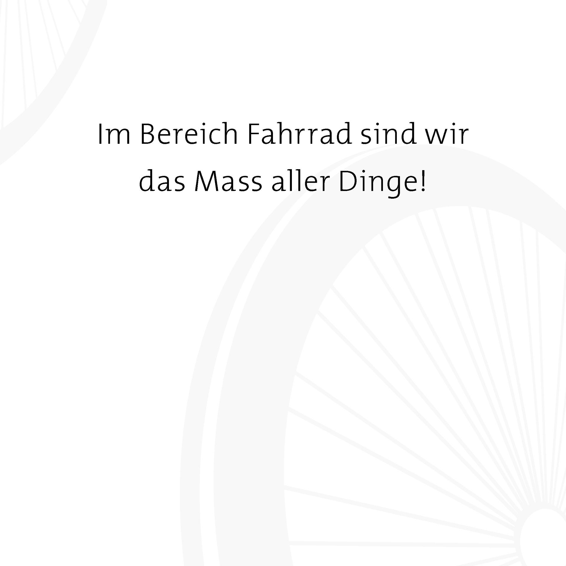  - Velothek AG B&uuml;tschwil