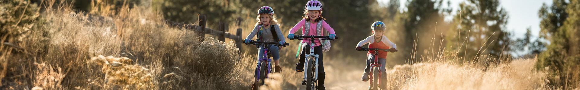  - Velothek AG B&uuml;tschwil