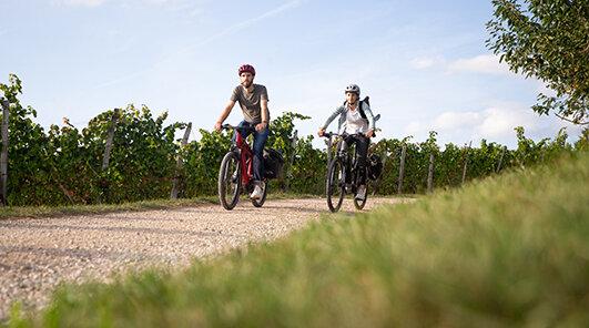 Kategorie E-City und Trekking